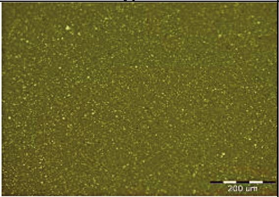 6 Ilościowy opis mikrostruktury polimeroasfaltu z woskiem przeprowadzono w programie Cell*D.