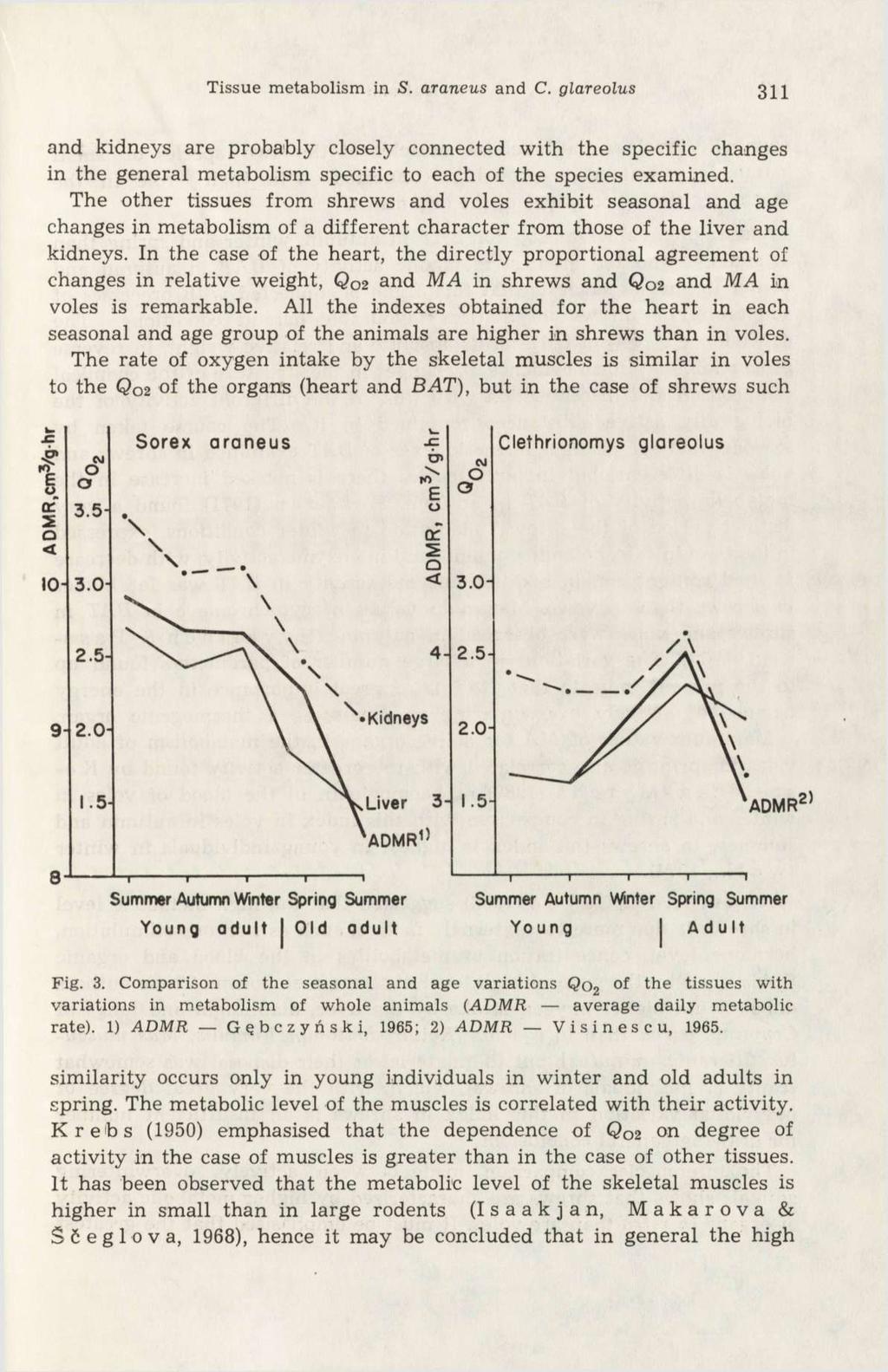 Tissue metabolism in S. araneus and C. glareolus 311 and kidneys are probably closely connected with the specific changes in the general metabolism specific to each of the species examined.