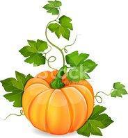 TEMAT KOMPLEKSOWY NR 2: DARY OGRODU http://png.clipart.me/istock/previews/2750/27504845-orange-pumpkinvegetable.