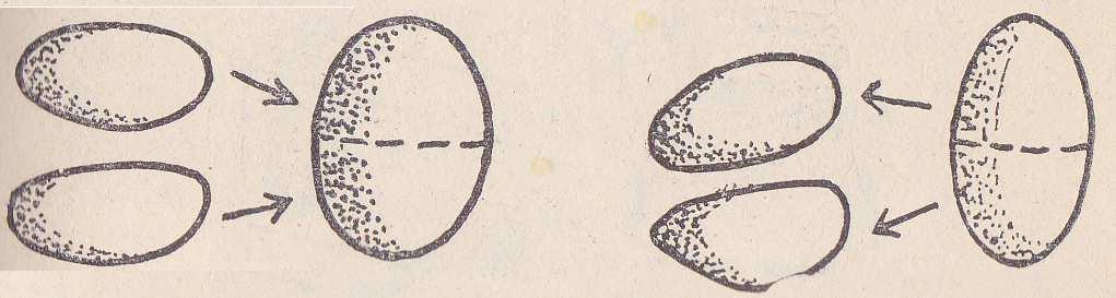 Wstęga Möbiusa Równoważność topologiczna nie jest homeomorficzna z wstęga cylindryczna (powierzchnia walca): ma tylko jedna krawędź f : A B jest równoważnościa topologiczna