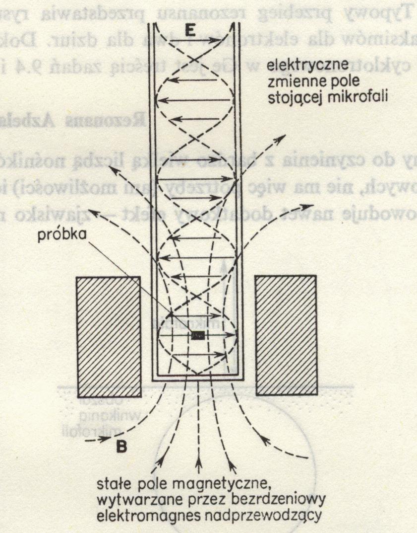 Kwzicząsti - dziury