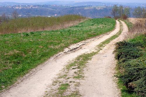 inne, których długość nawierzchni