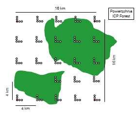 Wielkoobszarowa inwentaryzacja stanu lasu BULiGL od 2005 roku wykonuje inwentaryzację lasu na terenie całego kraju, opartą o stałe powierzchnie próbne w siatce 4x4 km (ICP Forest) Prace te