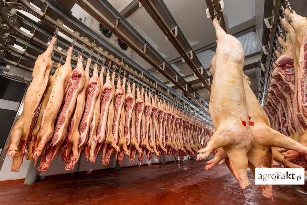 .pl https://www..pl W br. w Unii konsumpcja wieprzowiny na jednego mieszkańca ma zmniejszyć się o 1,6% i powinna wynieść 32,6 kg. Mniejsza i stabilna konsumpcja W br.