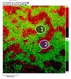 CF 3 relative concentration (%) CC,CH CF 3 CF 2 C=O/CF CF 2 C=O/CF C=O/CF C-O/C-N CC,CH C-O/C-N CC,CH C=O/CF C-O/C-N C-O/C-N CC,CH Analysis of