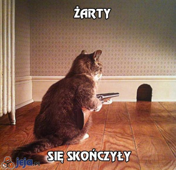 Żarty Jaki jest ulubiony kraj funkcji kwadratowych? - Viéte-nam! --------------------------------------------- Co było w saunie Chrobrego? - Para Bolka.
