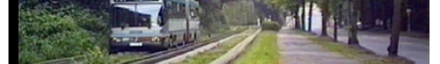 (Guided bus)