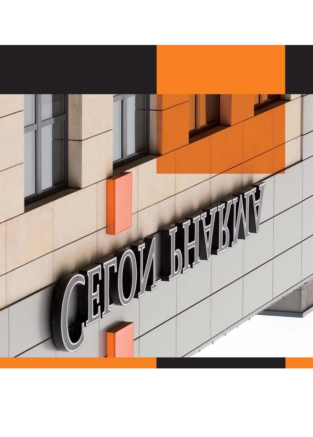 RAPORT KWARTALNY I/2017 Celon