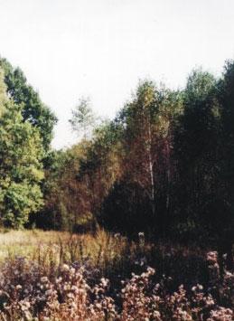 Wyżynie Środkowomałopolskiej. Powierzchnia zlewni I rzędy wynosi 1,27km 2 i jest położona na wysokościach od 268 do 595m n.p.m. W układzie jednostek hydrogeologicznych centralna część Gór Świętokrzyskich, objęta badaniami w ramach ZMŚP położona jest w Regionie Świętokrzyskim, Podregionie Łysogórskim.