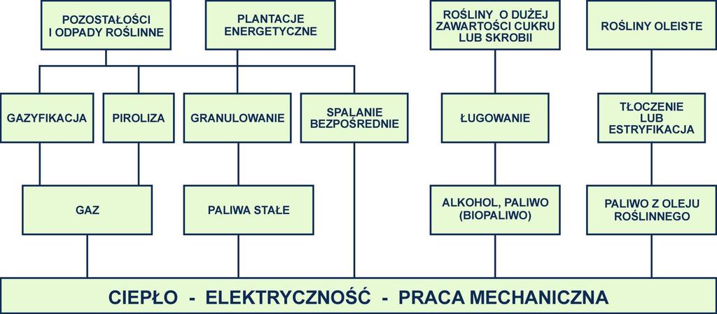 Możliwości wykorzystania