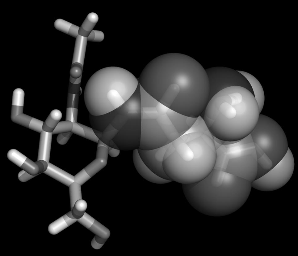 Asn GlcNAc N-linked glycosylation site H OH H HO H OH O H H HN O NH CH 3
