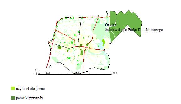 Rysunek 6 przedstawia rozmieszczenie obszarów chronionych na terenie miasta Piotrków Trybunalski. Rysunek 6. Obszary chronione na terenie miasta Piotrków Trybunalski.