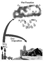 Usuwanie aerozoli z atmosfery Sucha depozycja Sedymentacja