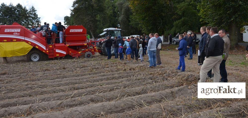 Gratka dla miłośników ziemniaka: 2 wydarzenia na raz!