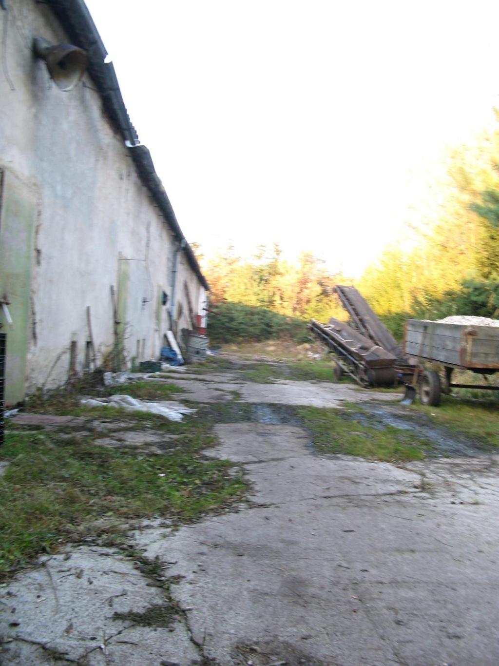 Porządek na