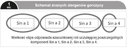 Pozostałe, tzw. małe składowe obejmują szereg innych terpenoidów, krótkołańcuchowe alkohole i ketony, organiczne sulfity oraz związki zawierające azot.