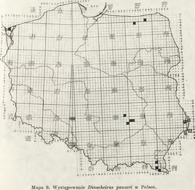 Załeszczotki Gór Świętokrzyskich 145 k i li. Mapa 9. W ystępowanie Dinocheirus panzeri w Polsce. Ghernes hahni (C. L. K o ch, 1843) Rez. Chełmowa Góra, Krzyżanowice koło Pińczowa, rez.