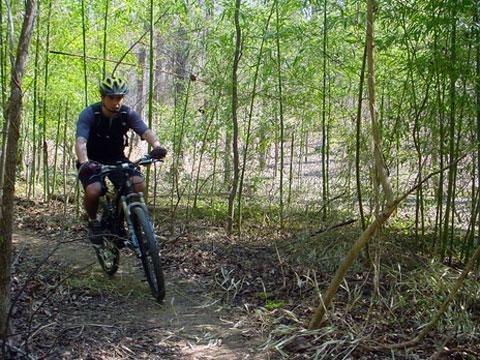 MTB 4 zajęcia w semestrze (soboty i niedziele) w semestrze zimowym październik, listopad w semestrze letnim kwiecień, maj, czerwiec, Czas trwania zajęć ok 5 godzin.