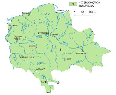 Rysunek 6. Fragment fizycznej mapy Polski (właściwy ze względu na przedmiot strategii) prowincja 1. Źródło: opracowanie Urzędu Gminy Władysławów w oparciu o dane [on-line:] http://www.geografia.com.