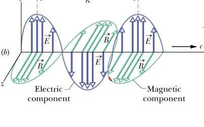 Fala elektromagnetyczna (EM) Falę elektromagnetyczną rozchodzącą się w kierunku osi x, można opisać: E m, B m amplitudy odpowiednio pola
