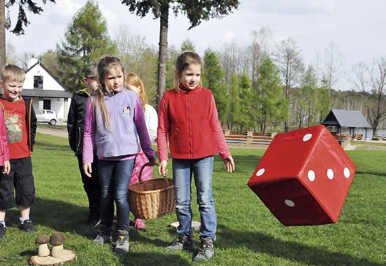 Grzybobranie w Pestkownicy Edukacyjnie i krajoznawczo Park Grzybowy w Piłce Unikalna w skali kraju atrakcja! Edukacja przyrodnicza połączona ze świetną zabawą i prawdziwym odpoczynkiem.