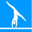 Gimnastyka sportowa Mężczyźni: ćwiczenia wolne, poręcze, skok, drążek, kółka, koń z łękami, wielobój, drużyna. 14 (8M+6K) Kobiety: ćwiczenia wolne, poręcze, skok, równoważnia, wielobój, drużyna.