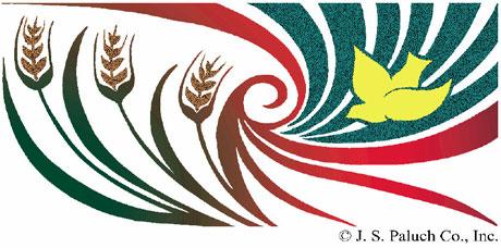 Page 2 NINETEENTH SUNDAY IN ORDINARY TIME AUGUST 13, 2017 Truth shall spring out of the earth, and justice shall look down from heaven.