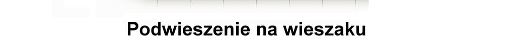 Ze względu na znaczną masę urządzeń napełnionych wodą, ich zawieszenie/ustawienie możliwe jest na ścianach/podłożu posiadających odpowiednią