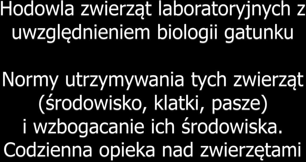 Uniwersytet Warszawski Krajowa