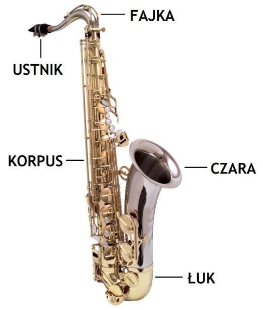 TUBA dęty blaszany Tuba to największy i najniżej brzmiący instrument dęty blaszany. Wyróżniamy 2 rodzaje tuby: basową i kontrabasową.