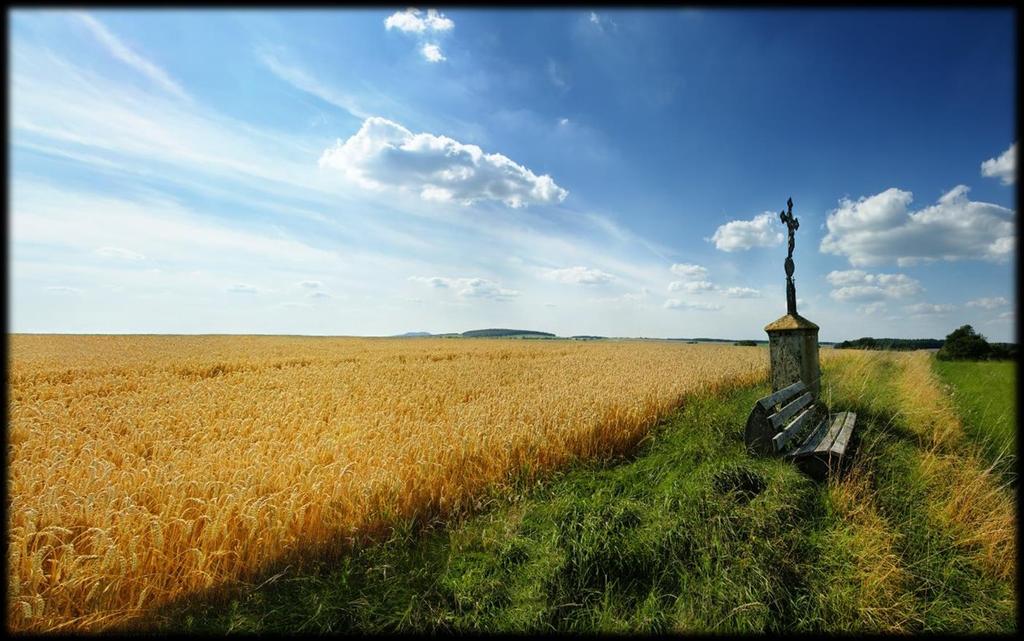 Biały krzyż muz. K. Klenczon, sł. J.