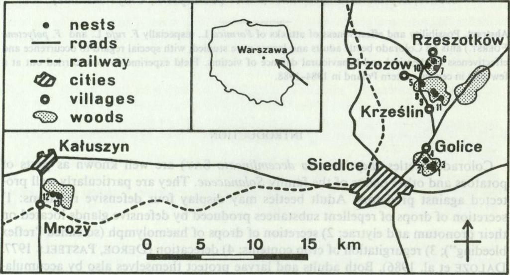 nearest potato field, reached 0.9 individuals per 1 m2.