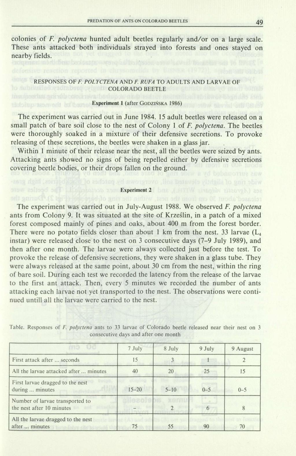 PREDATION OF ANTS ON COLORADO BEETLES 49 colonies of F. polyctena hunted adult beetles regularly and/or on a large scale.