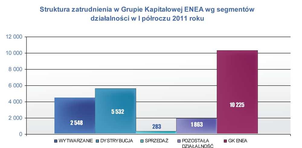 7.3. Informacja o transakcjach zabezpieczających ryzyko walutowe. W ramach prowadzonej działalności na dzień 30 czerwca 2011 r. ENEA S.A. nie korzystała z transakcji zabezpieczających ryzyko walutowe.