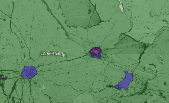 Phase map Distribution of three phases across the area Garnet is marked in green, quartz in blue and coesite in red.