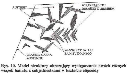 tworzących się wiązek - płytek) na przemianę bainityczną. Morfologia mikrostruktur bainitu dolnego z midribami wykazuje ułożenie płytek w kształcie motylkowym.