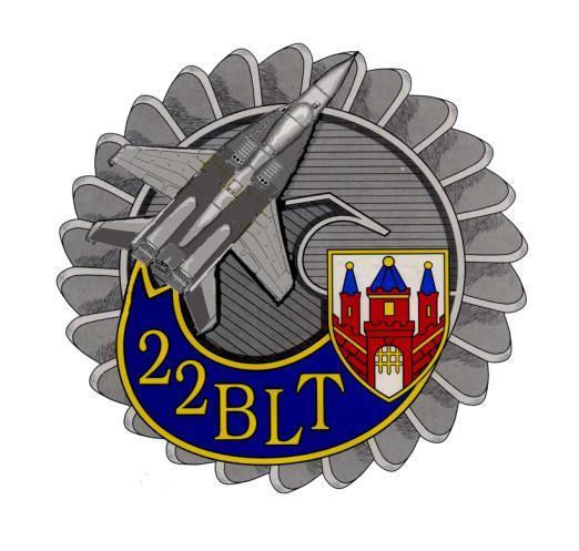 II Bieg z okazji Święta Lotnictwa Polskiego REGULAMIN I. ORGANIZATOR 1. Jednostka Wojskowa 1128 w Malborku II.CEL 1. Uczczenie Święta Lotnictwa Polskiego; 2.