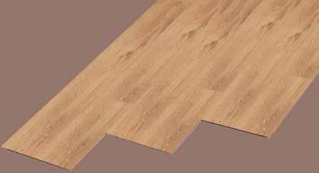 struktura BG -