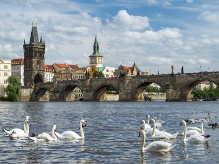 Stare Miasto to dzielnica wąskich uliczek, niewielkich sklepików oraz knajpek ukrytych często w podziemiach budynków, sięgających średniowiecza.