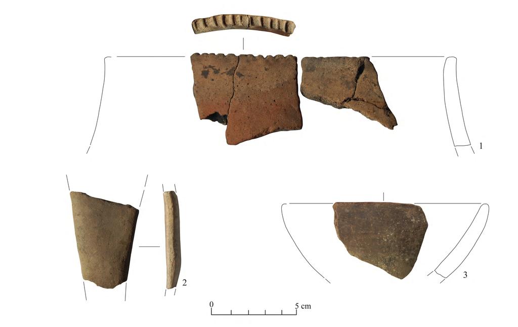 112 Ryc. 8. Nowomalin-Podobanka, rejon Ostrog.