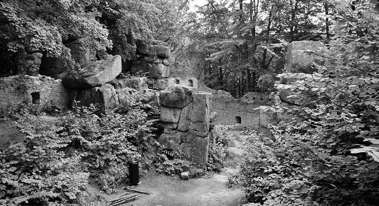 Schronisko turystyczne w ruinach zamku Bolczów Ryc. 1. Ruiny schroniska na zamku Bolczów (stan obecny), fot.