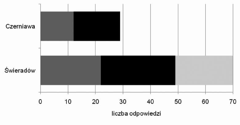 Struktura przestrzenna a funkcjonowanie miasta podwójnego. Przykład zespołu miejskiego.