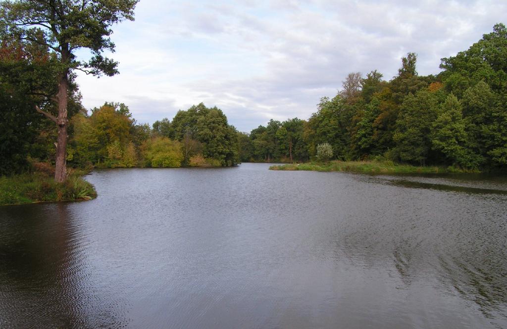 ochronę wybranych komponentów środowiska doliny Mrogi. Fot. 4.