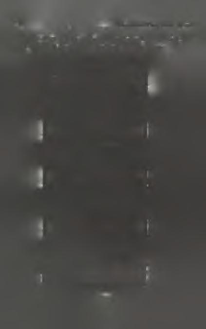78 L Fedorowicz, J.