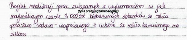 Ocenie podlegały następujące elementy pracy egzaminacyjnej: I. Tytuł pracy egzaminacyjnej. II. Założenia. III.
