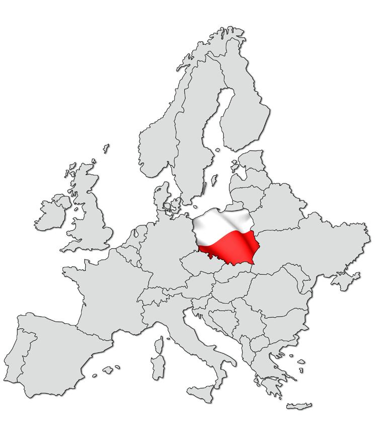 4 PODWYKONAWCY W POLSCE PODWYKONAWCY W POLSCE Polska jest jednym z wiodących krajów outsourcingu w Europie, a Hannover Messe jest świetną okazją do zaprezentowania polskich podwykonawców sektora