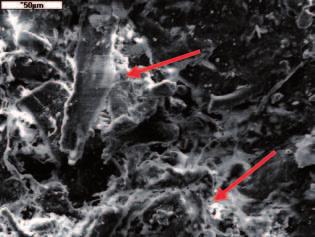 202 Joanna Trąbska, Małgorzata Winiarska-Kabacińska, Barbara Trybalska Fig. 17. Sample 2. Iron compounds have here shape of fine lumps, recognisable only due to chemical analysis. Ryc. 17. Próbka 2.