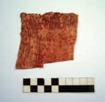 Experimental Skin Processing with Ferruginous Material. Macro- and Microproperties. Preliminary Results 197 1 2 3 4 5 Leathered covered with natural natural Fig.