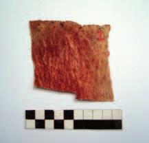 13 Results of experimental and microscopic observations Haematite and limonite processed hides were intensely coloured (Table 3).
