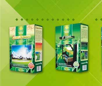 72 34970137 TRAWA ANGIELSKI STADION 1 KG trawa 5 kg w cenie: 59.90 z VAT 64.